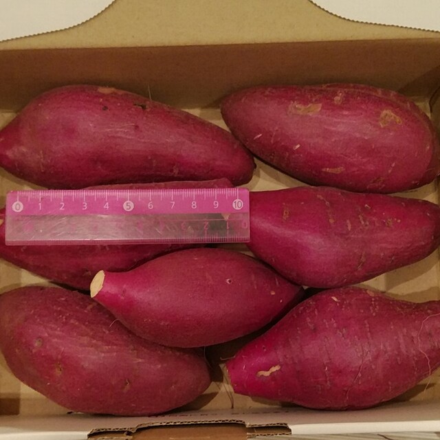 12 千葉県産 べにはるか さつまいも サツマイモ 約1.1㎏ 食品/飲料/酒の食品(野菜)の商品写真