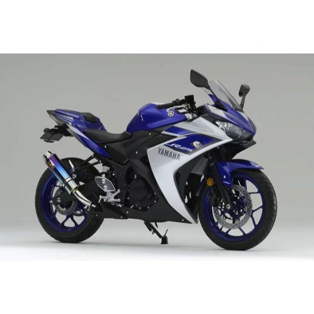 日本特注 Realize R3 / R25/MT03/MT25 Aria チタンTypeS パーツ
