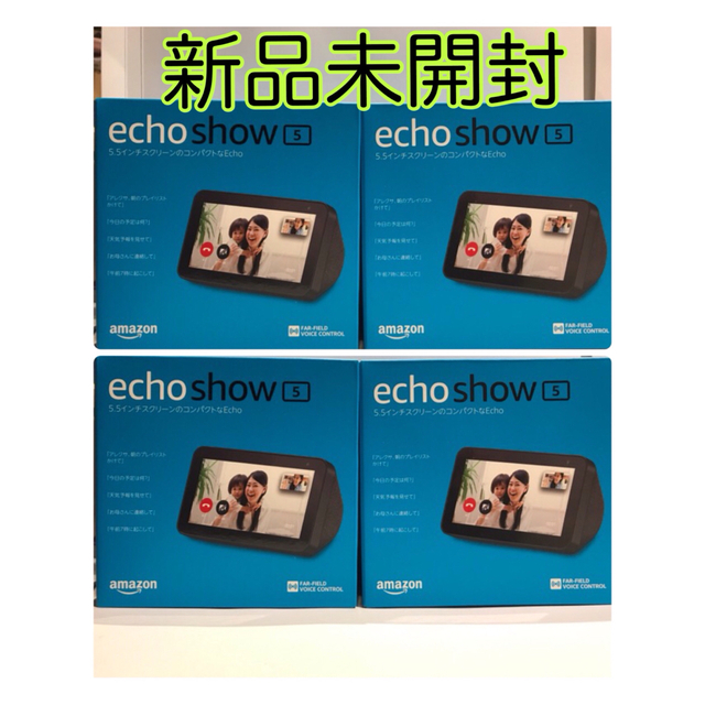 Echo Show5 美品