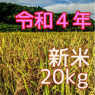 令和４年産新米 低農薬玄米２０キロ 山田錦の里より農家直送　(精米サービス中)(米/穀物)