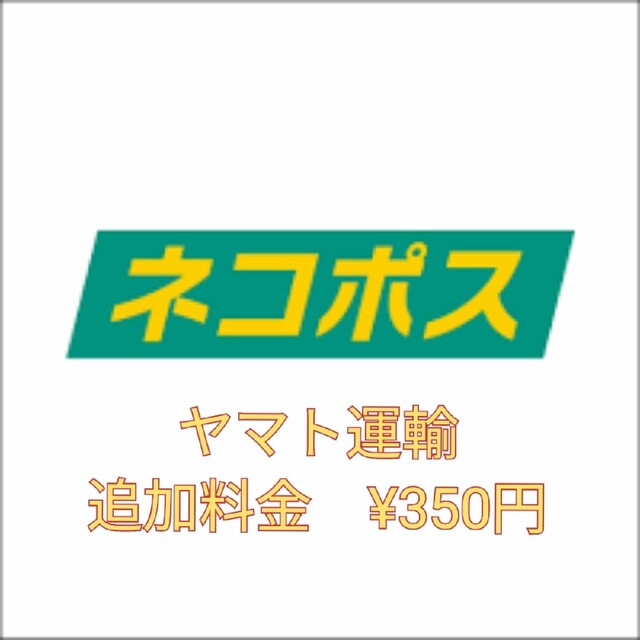 新品 送料込み ピンクゴールド レディース 腕時計 ビジネス フォーマルにも♪赤 スマホ/家電/カメラのカメラ(ビデオカメラ)の商品写真