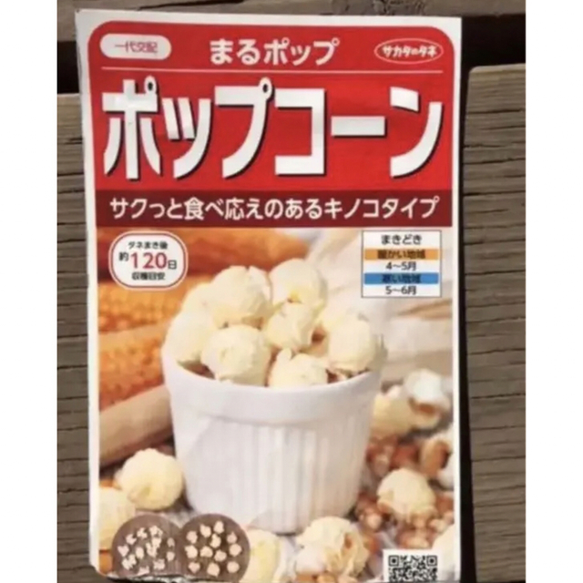 【さくらもち 様専用です】2022年産　ポップコーン　600g 食品/飲料/酒の食品(野菜)の商品写真