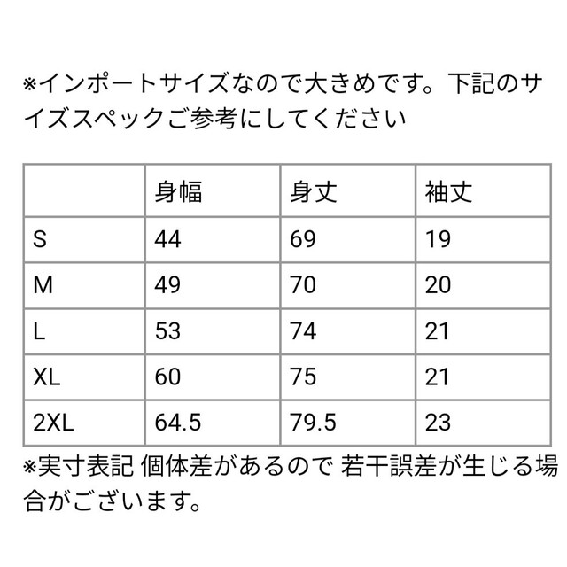 Champion(チャンピオン)の新品未使用 チャンピオン 無地 クルーネック Tシャツ ホワイト Sサイズ メンズのトップス(Tシャツ/カットソー(半袖/袖なし))の商品写真