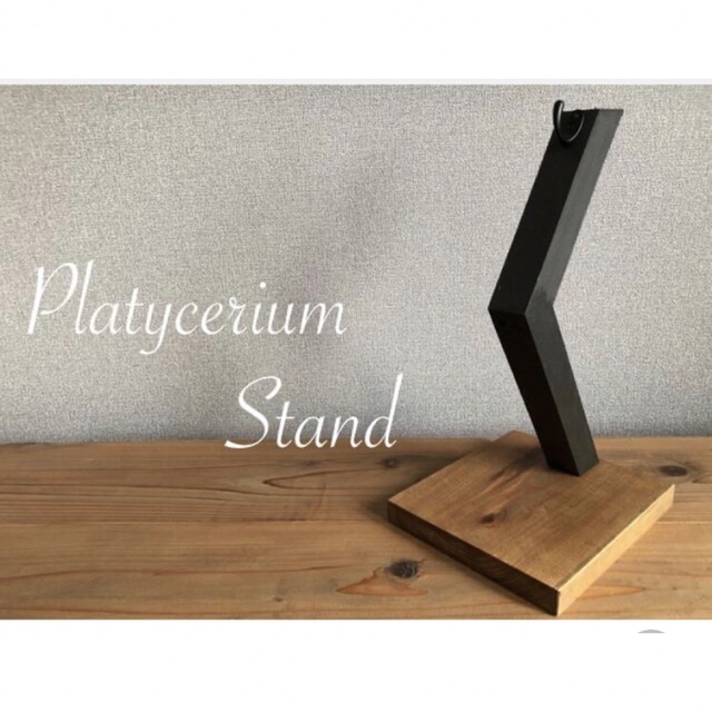 Platycerium-stand ビカクシダスタンド / カラードリフトウッド ハンドメイドのフラワー/ガーデン(その他)の商品写真