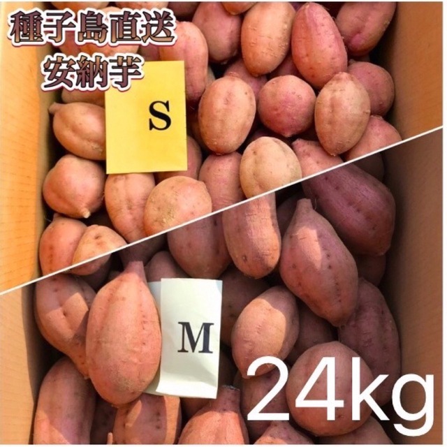 【絶品】種子島産 安納芋 SML混合24kg(箱別) 食品/飲料/酒の食品(野菜)の商品写真