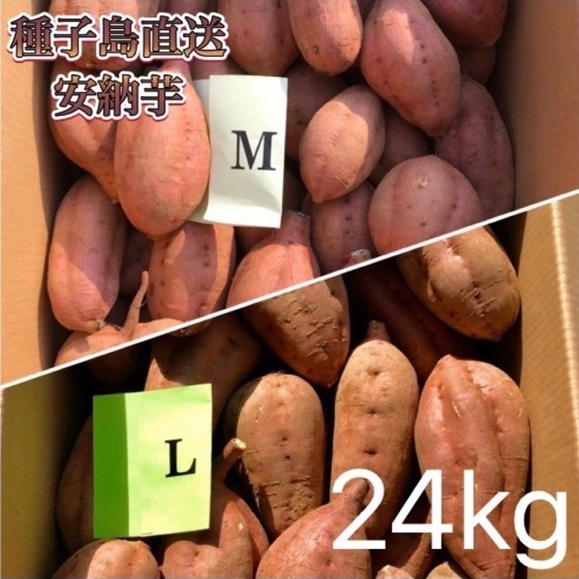 【絶品】種子島産 安納芋 SML混合24kg(箱別) 食品/飲料/酒の食品(野菜)の商品写真