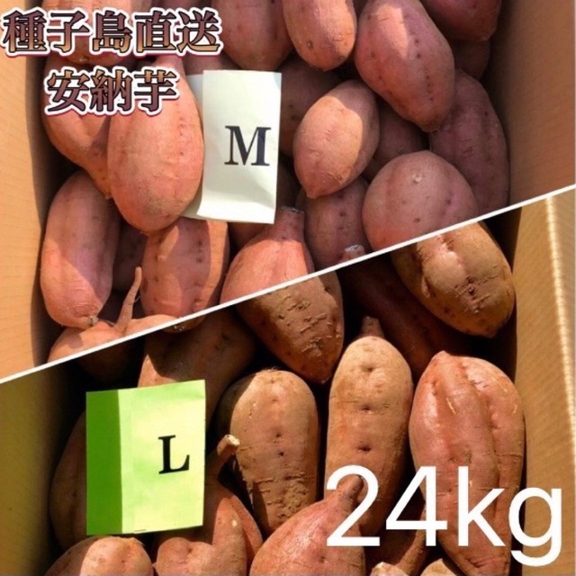 【絶品】種子島産  安納芋SML混合24kg(箱別) 食品/飲料/酒の食品(野菜)の商品写真