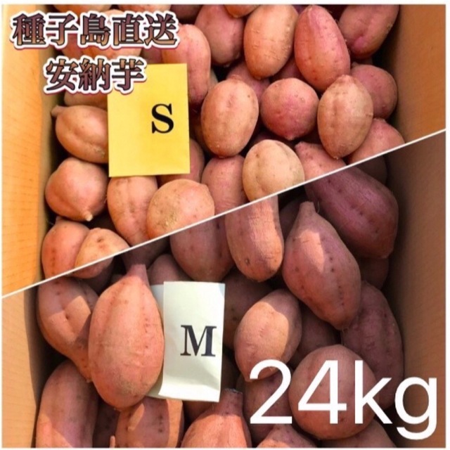 【絶品】種子島産  安納芋SML混合24kg(箱別) 食品/飲料/酒の食品(野菜)の商品写真