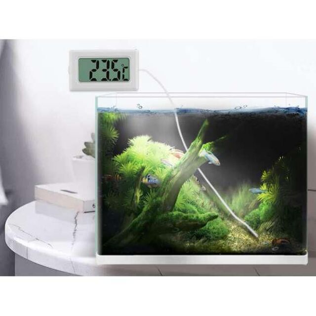 デジタル 水温計 ホワイト 温度計 LCD 液晶表示 水槽 アクアリウム 小型 その他のペット用品(アクアリウム)の商品写真