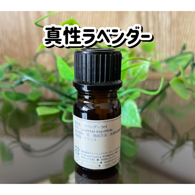 正規品送料無料 真正ラベンダー 5ml アロマオイル 精油 リラックス 抗菌 抗炎症 免疫力