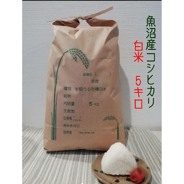 白米の通販　お米5kg　せんごろう's　shop｜ラクマ　令和4年魚沼産コシヒカリ　by