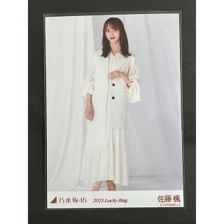 ノギザカフォーティーシックス(乃木坂46)の乃木坂46 生写真 佐藤楓 Lucky Bag 2023 カレンダー衣装 ヒキ(アイドルグッズ)