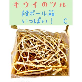 キウイのツル　段ボール箱いっぱい！C(かご/ケージ)