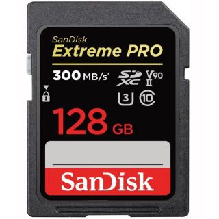 サンディスク　SDSDXDK-128G-JNJIP [128GB](その他)