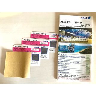 エーエヌエー(ゼンニッポンクウユ)(ANA(全日本空輸))のANA 全日空　株主優待券　3枚　ANAグループ優待券(その他)