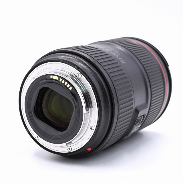 CANON EF24-105mm F4L IS II USM 2