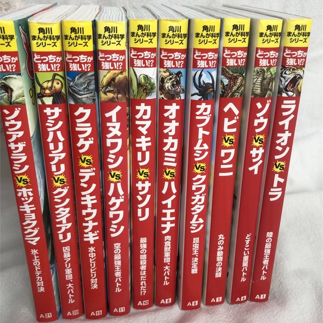 角川まんが科学シリーズ　どっちが強い！？　10冊セット エンタメ/ホビーの本(絵本/児童書)の商品写真