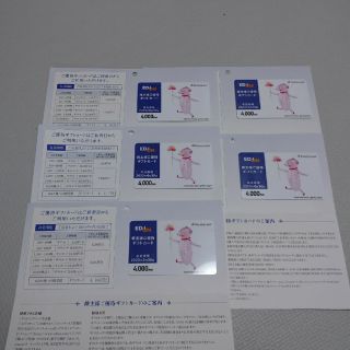 エディオン　株主優待20000円分(その他)