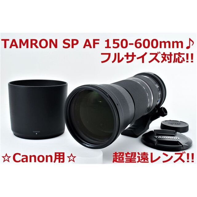 Canon - #4983 超望遠♪ Canon用 TAMRON SP 150-600mm VC