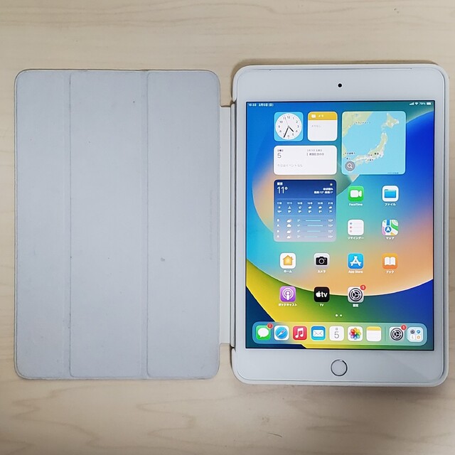 2022新作モデル - iPad 訳あり シルバー Cellular 256GB 5 mini iPad
