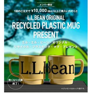 エルエルビーン(L.L.Bean)のL.L.Bean プラスチックマグカップ(２個)(グラス/カップ)