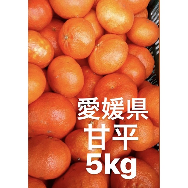 愛媛県産　甘平　柑橘　5kg