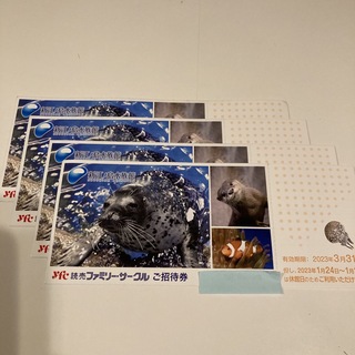 新江ノ島水族館　チケット　4枚(水族館)