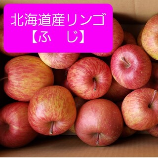 ★北海道産リンゴ【ふじ】訳あり品　約５キロ(フルーツ)