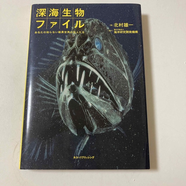 深海生物ファイル あなたの知らない暗黒世界の住人たち　北村雄一 エンタメ/ホビーの本(科学/技術)の商品写真