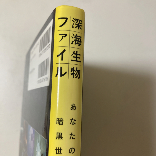 深海生物ファイル あなたの知らない暗黒世界の住人たち　北村雄一 エンタメ/ホビーの本(科学/技術)の商品写真