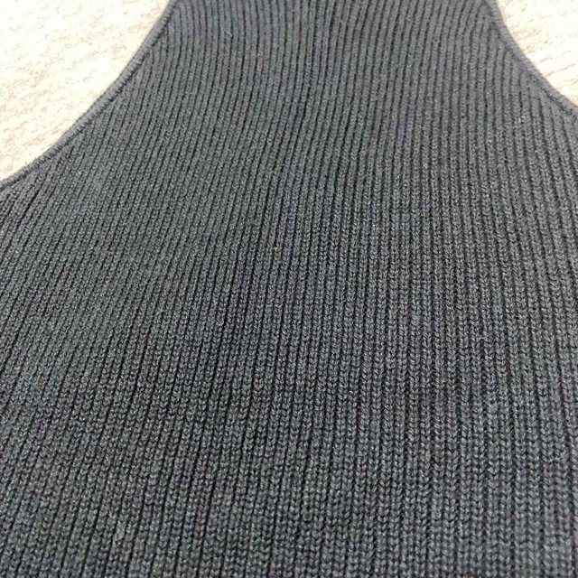 the shishikui American Sleeve シシクイ アメスリ 新しく着き