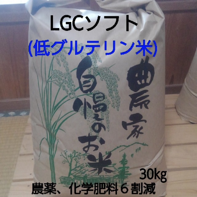 米/穀物　令和４年産米　LGCソフト玄米30㎏