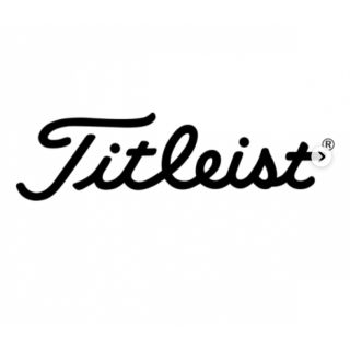 タイトリスト(Titleist)のタイトリスト ロストボール 年式混合24球(その他)