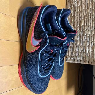 29センチ!即日配送!ナイキ レブロン Lebron 20