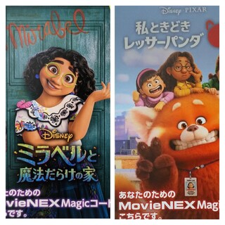 ディズニー(Disney)の私ときどきレッサーパンダミラベルと魔法だらけの家 MOVIENEXデジタルコピー(キッズ/ファミリー)