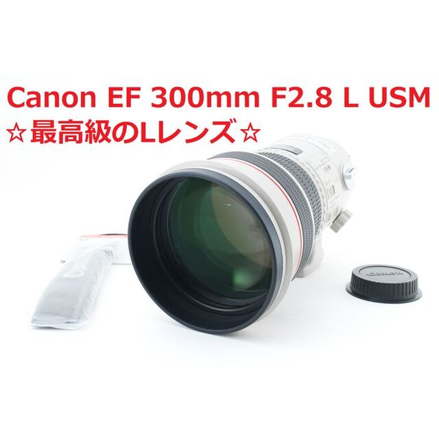 Canon - #4984☆最高の描写力♪☆ Canon EF 300mm F2.8 L USM