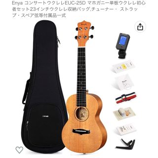 ウクレレ初心者向けセット⭐︎新品⭐︎(コンサートウクレレ)