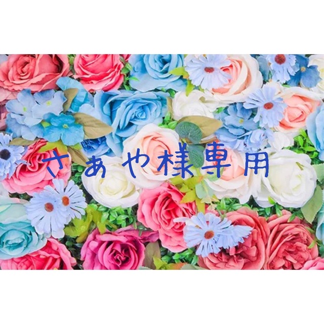 さぁや様専用 | フリマアプリ ラクマ