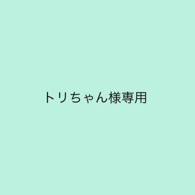 ⭐️トリちゃん様専用⭐️ | フリマアプリ ラクマ