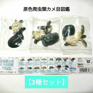 タカラトミーアーツ(T-ARTS)の🉐🐢絶版【原色爬虫類カメ目図鑑[新改訂版]】 3種セット(その他)