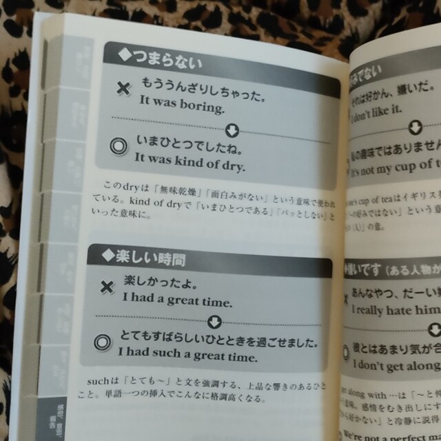 その英語、ネイティブには品がありませんＥＬＥＧＡＮＴ エンタメ/ホビーの本(語学/参考書)の商品写真