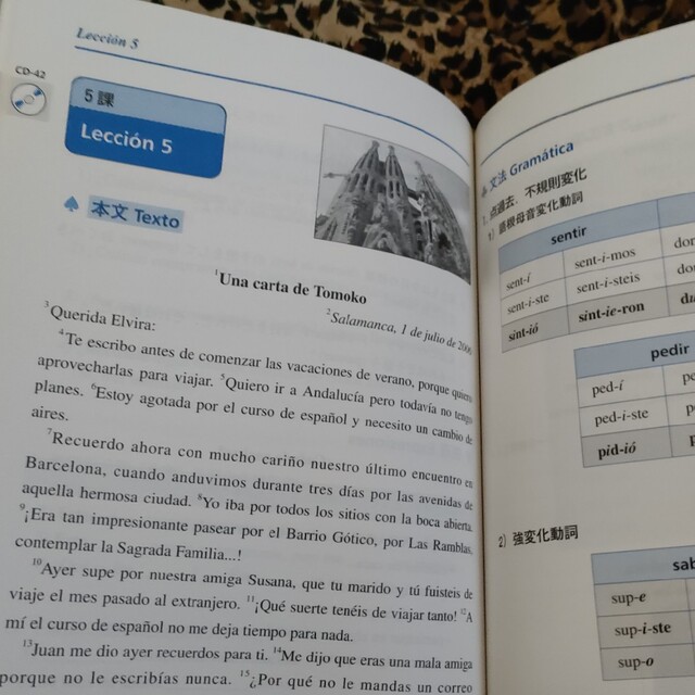 ディメロ スペイン語初級 エンタメ/ホビーの本(語学/参考書)の商品写真