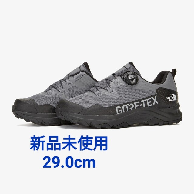 【THE NORTH FACE】ゴアテックスENERGY TECH BOA GT