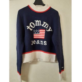 トミージーンズ(TOMMY JEANS)のTOMMYJINS ニット(ニット/セーター)