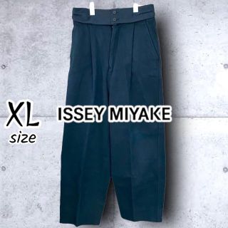 イッセイミヤケ ワークパンツ/カーゴパンツ(メンズ)の通販 30点