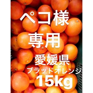 ペコ様　専用　愛媛県産　ブラッドオレンジ　柑橘　15kg(フルーツ)