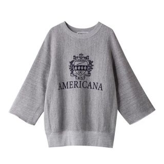goodnessスウェット アッシュグレー トップス トップス hair.su:443