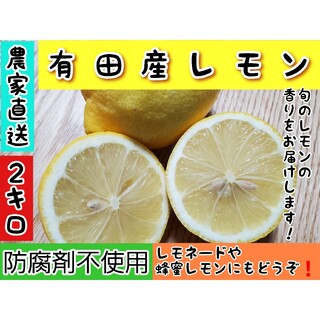有田産レモン　2キロ(フルーツ)