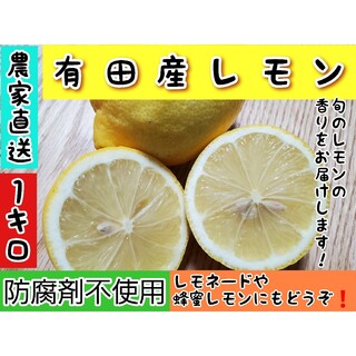 有田産レモン　1キロ(フルーツ)