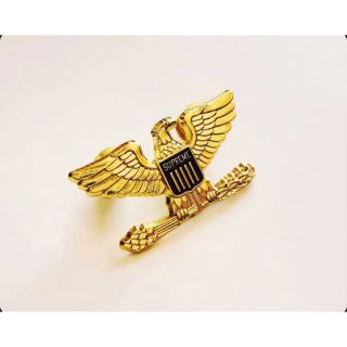 シュプリームサンプル未発売鷹Supreme 00OG Army Military Eagle Pin ...